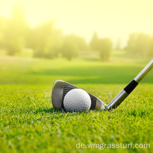 Preis für Teppichgras für Golfplatz